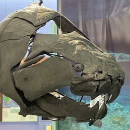 Fossil fish