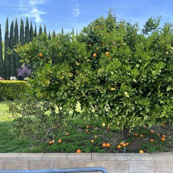 Oakwood Memorial Park - Funeral Services & Cemeteries Near Me - Chatsworth, California Oakwood Memorial Park - Funeral Services & Cemeteries Near Me - Chatsworth, California