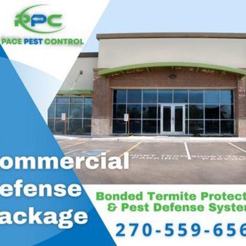 Pace Pest Control - Pest Control Near Me - Paducah, Kentucky Pace Pest Control - Pest Control Near Me - Paducah, Kentucky