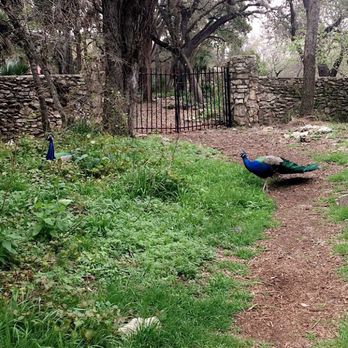 Mayfield Park - Parks Near Me - Austin, Texas Mayfield Park - Parks Near Me - Austin, Texas