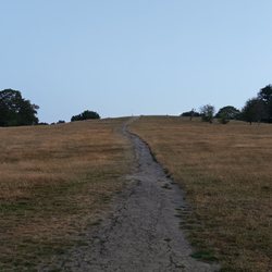 Primrose Hill - The trek up to the view point.