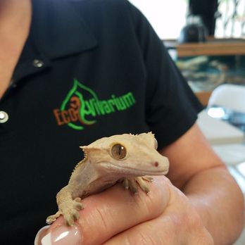 EcoVivarium - Museums Near Me - Escondido, California EcoVivarium - Museums Near Me - Escondido, California