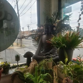Vida Coffee Shop - Coffee & Tea Near Me - Franklin Square, New York Vida Coffee Shop - Coffee & Tea Near Me - Franklin Square, New York