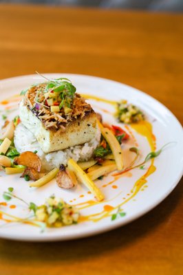 The Lime Lite by null