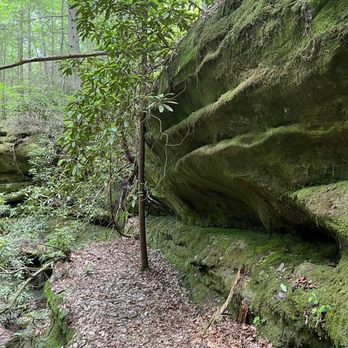 Pickett CCC Memorial State Park - Hiking Near Me - Jamestown, Tennessee Pickett CCC Memorial State Park - Hiking Near Me - Jamestown, Tennessee