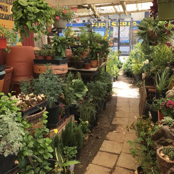 Avalon Nursery & Ceramics - Nurseries & Gardening Near Me - Los Angeles, California