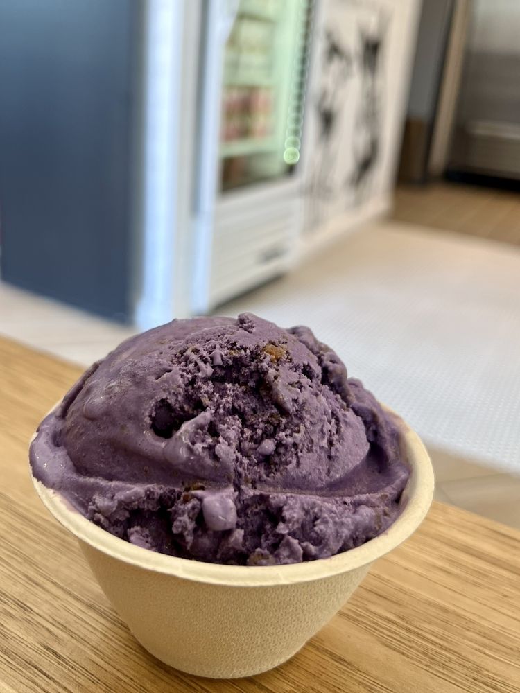 STELLA JEAN’S ICE CREAM PACIFIC BEACH Updated September 2024 82