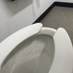 Five Below - womens restroom toilet
