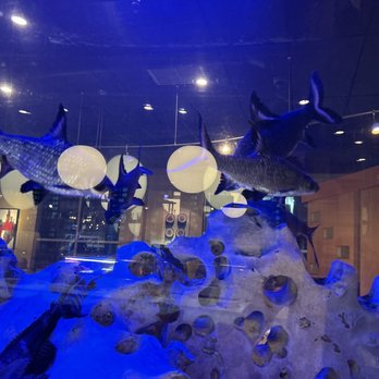 Kemuri - Sushi Bars Near Me - Little Rock, Arkansas
