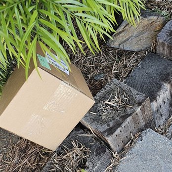 OnTrac - Expensive wound care supplies thrown into a planter. - Couriers & Delivery Services Near Me - Kent, Washington OnTrac - Expensive wound care supplies thrown into a planter. - Couriers & Delivery Services Near Me - Kent, Washington