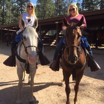 Blue Bell Stables - Horse Boarding Near Me - Custer, South Dakota