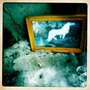 Photo of Lost & Found, Ensom Hest
