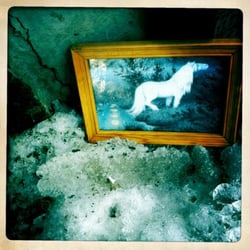 Lost & Found, Ensom Hest