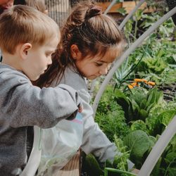Wirtzie's Preschool and Child Day Care