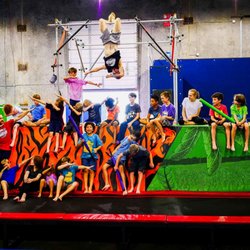 The Jungle Movement Academy