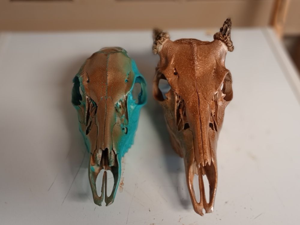 Bully Buck Taxidermy - taxidermy in Rochester, IN