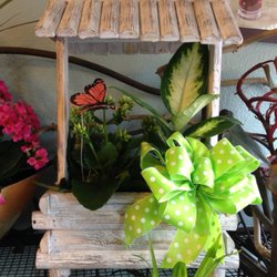 All Flowered Up - Large Variety of Plants