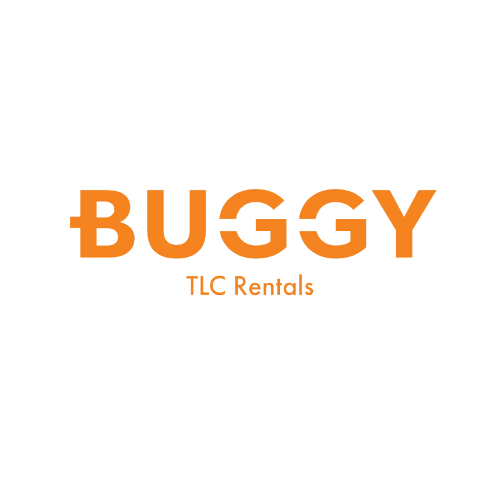BUGGY CAR RENTAL Updated September 2024 25 Reviews 445 Empire