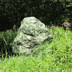 Wilbur Woods - Lots of glacial stones