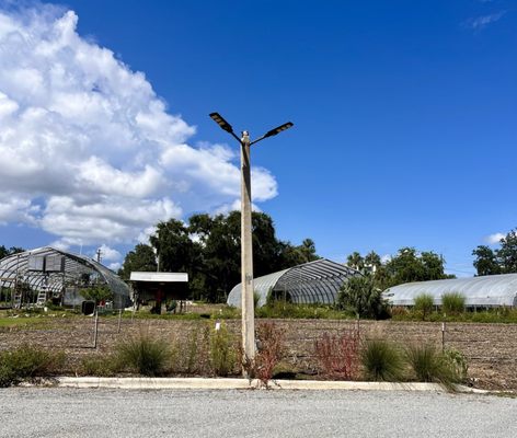 Meacham Urban Farm by null