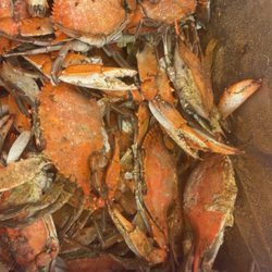 Patuxent Seafood