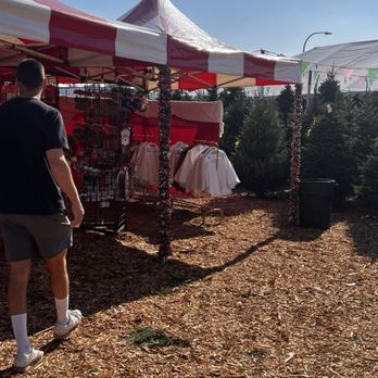 Shawn's Christmas Trees - Christmas Trees Near Me - Culver City, California Shawn's Christmas Trees - Christmas Trees Near Me - Culver City, California