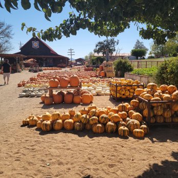 Chesebrough Farm - Pumpkin Patches Near Me - Templeton, California Chesebrough Farm - Pumpkin Patches Near Me - Templeton, California