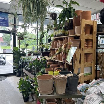 Oviedo Plants - Nurseries & Gardening Near Me - Oviedo, Florida