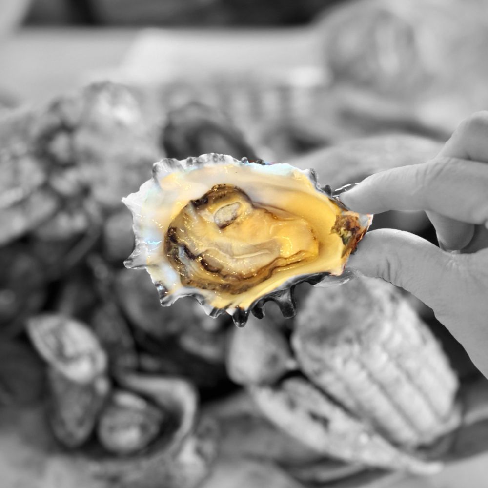 Shell Shock Seafood House - Fresh oysters | @whaevaeats - Seafood Near Me - Hayward, California Shell Shock Seafood House - Fresh oysters | @whaevaeats - Seafood Near Me - Hayward, California
