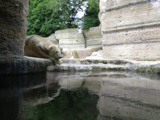 Hellabrunn Zoo by null