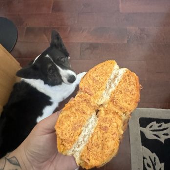 Bloom Bagels - Pizza bagel cross action - Bagels Near Me - Campbell, California