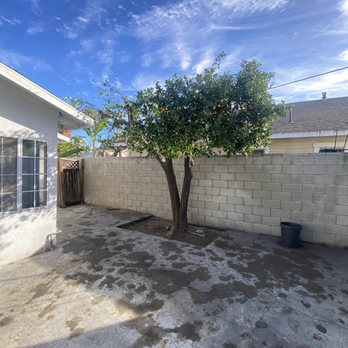 Joel Espinoza Landscape - Tree Services Near Me