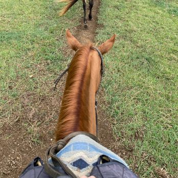 Kualoa Ranch - Tours Near Me - Kaneohe, Hawaii