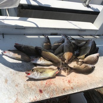 Pelican Adventures - Our catch! - Fishing Near Me - Destin, Florida Pelican Adventures - Our catch! - Fishing Near Me - Destin, Florida