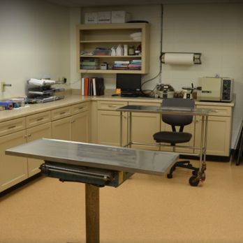 Beauchamp Animal Hospital - Veterinarians Near Me - Franklin, Tennessee Beauchamp Animal Hospital - Veterinarians Near Me - Franklin, Tennessee