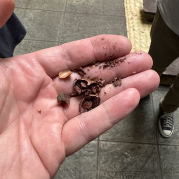 MUCHO. Museo del Chocolate - Yes, a roasted cocoa bean does taste like chocolate. - Museums Near Me - México, D.F., DIF