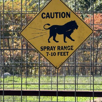 National Tiger Sanctuary - What?!? Yep its true! - Community Service/Non-Profit Near Me - Saddlebrooke, Missouri