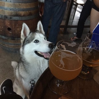 Fieldwork Brewing Co. - Breweries Near Me - Berkeley, California