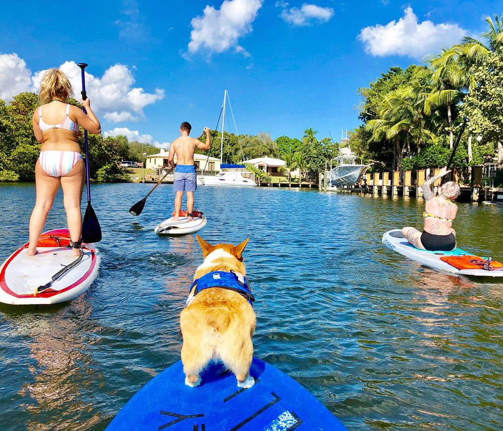 SUP PUP Paddleboard Logo