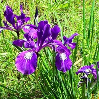 Mount Pisgah Arboretum - Venues & Event Spaces Near Me - Eugene, Oregon