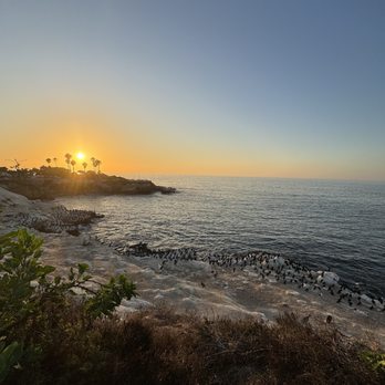 La Jolla Cove - Parks Near Me - La Jolla, California La Jolla Cove - Parks Near Me - La Jolla, California