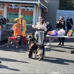 PAWS'itive Pals Dog Training - Lauren leading annual puppy parade for Halloween in downtown GV
