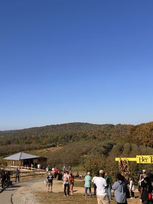 Sky Top Orchard by null