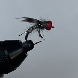 Tie One On Taphouse and Fly Shop