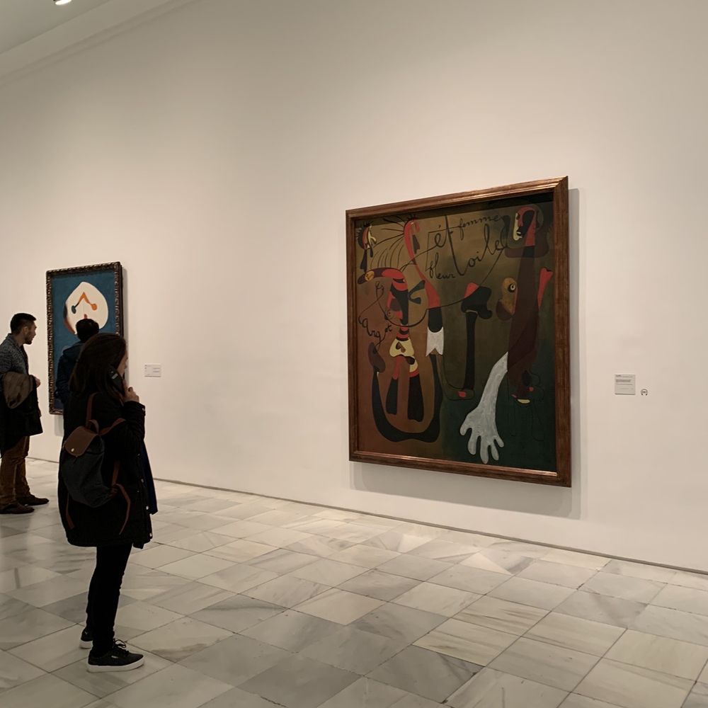 Museo Nacional Centro de Arte Reina Sofía - Museums Near Me - Madrid, M