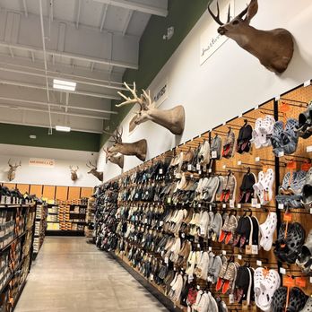 RMI Outdoors - Guns & Ammo Near Me - Eureka, California RMI Outdoors - Guns & Ammo Near Me - Eureka, California