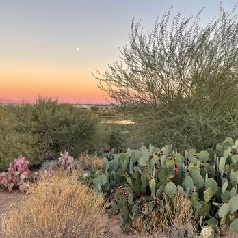 Veterans Oasis Park - Sundown view from one of the hiking trails - Parks Near Me - Chandler, Arizona Veterans Oasis Park - Sundown view from one of the hiking trails - Parks Near Me - Chandler, Arizona