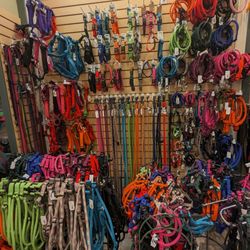 Murphy's Dog Store - TimberWolf dogs harness wall.