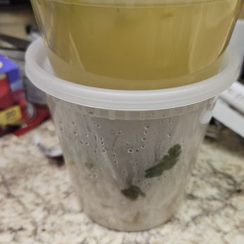 Dumplings N More - Chicken broth with vegetable leaves in top container. Mushy won tons in bottom. - Chinese Near Me - Escondido, California