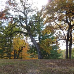 Lincoln Park